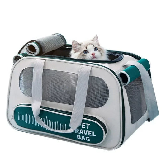 AeroVent Foldable Airline-Approved Pet Backpack Carrier