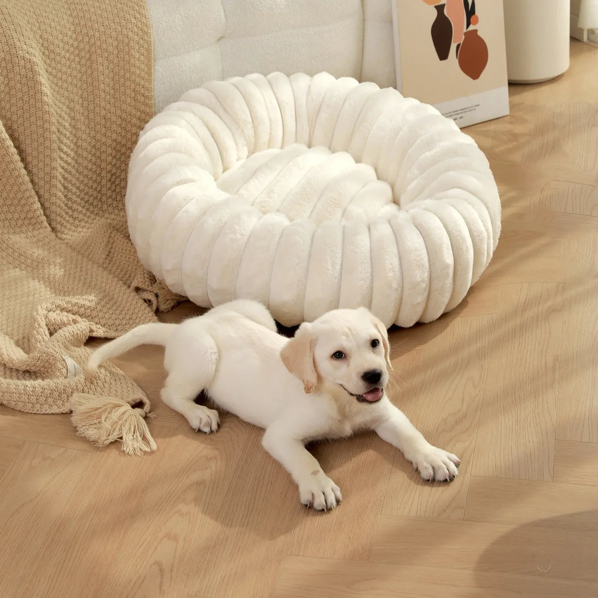 Round Pet Bed for Large Dog