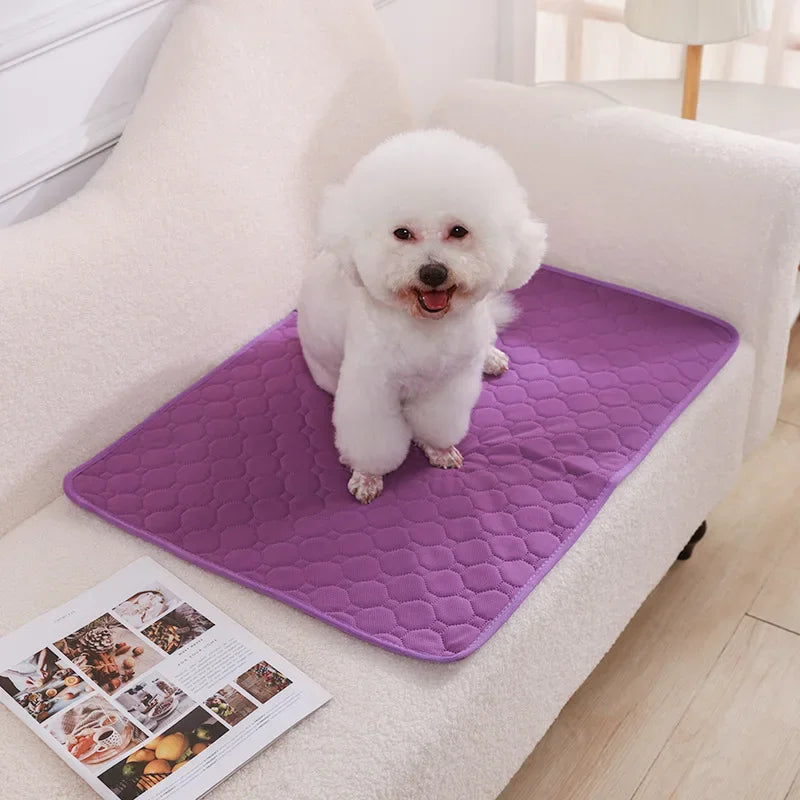 Reusable Dog Pee Pad