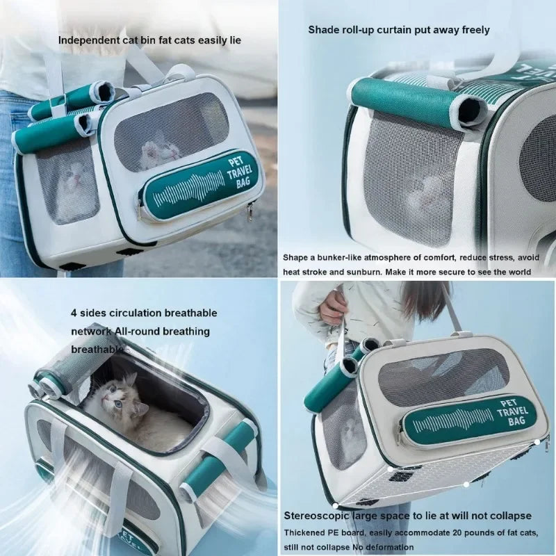 AeroVent Foldable Airline-Approved Pet Backpack Carrier