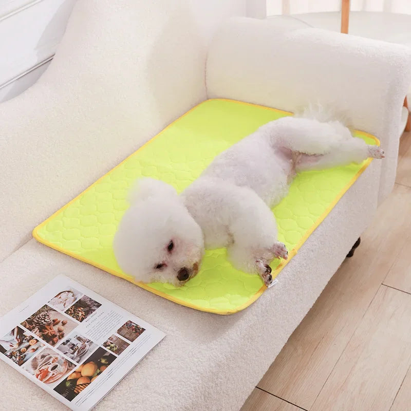 Reusable Dog Pee Pad
