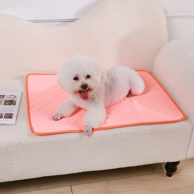 Reusable Dog Pee Pad