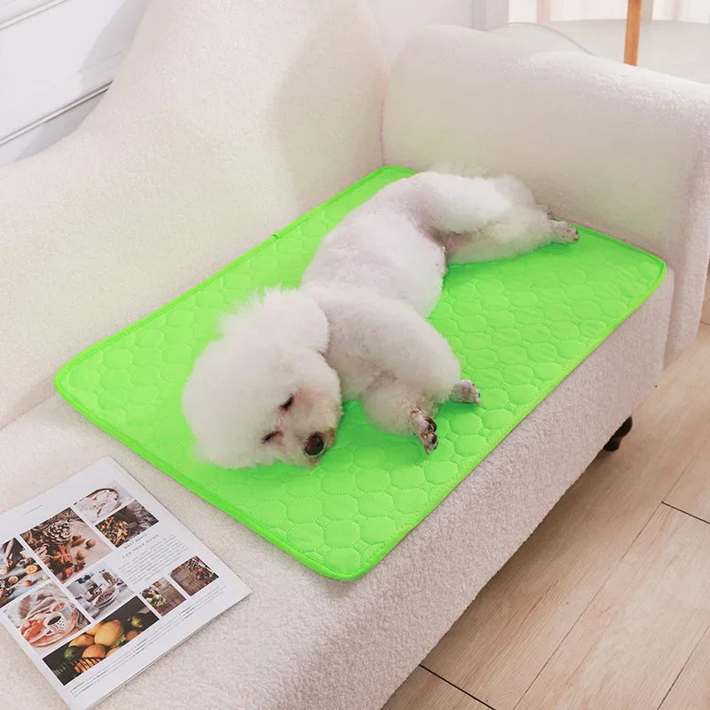 Reusable Dog Pee Pad
