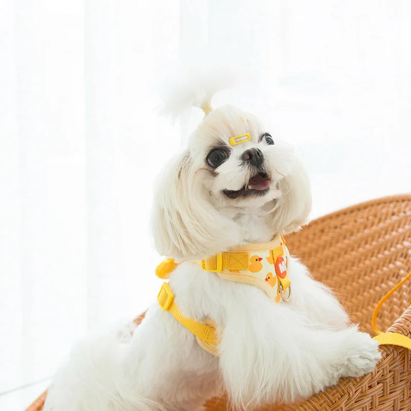 Cute Harness For Small Dogs