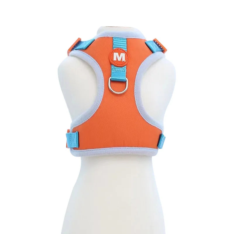 Cute Harness For Small Dogs