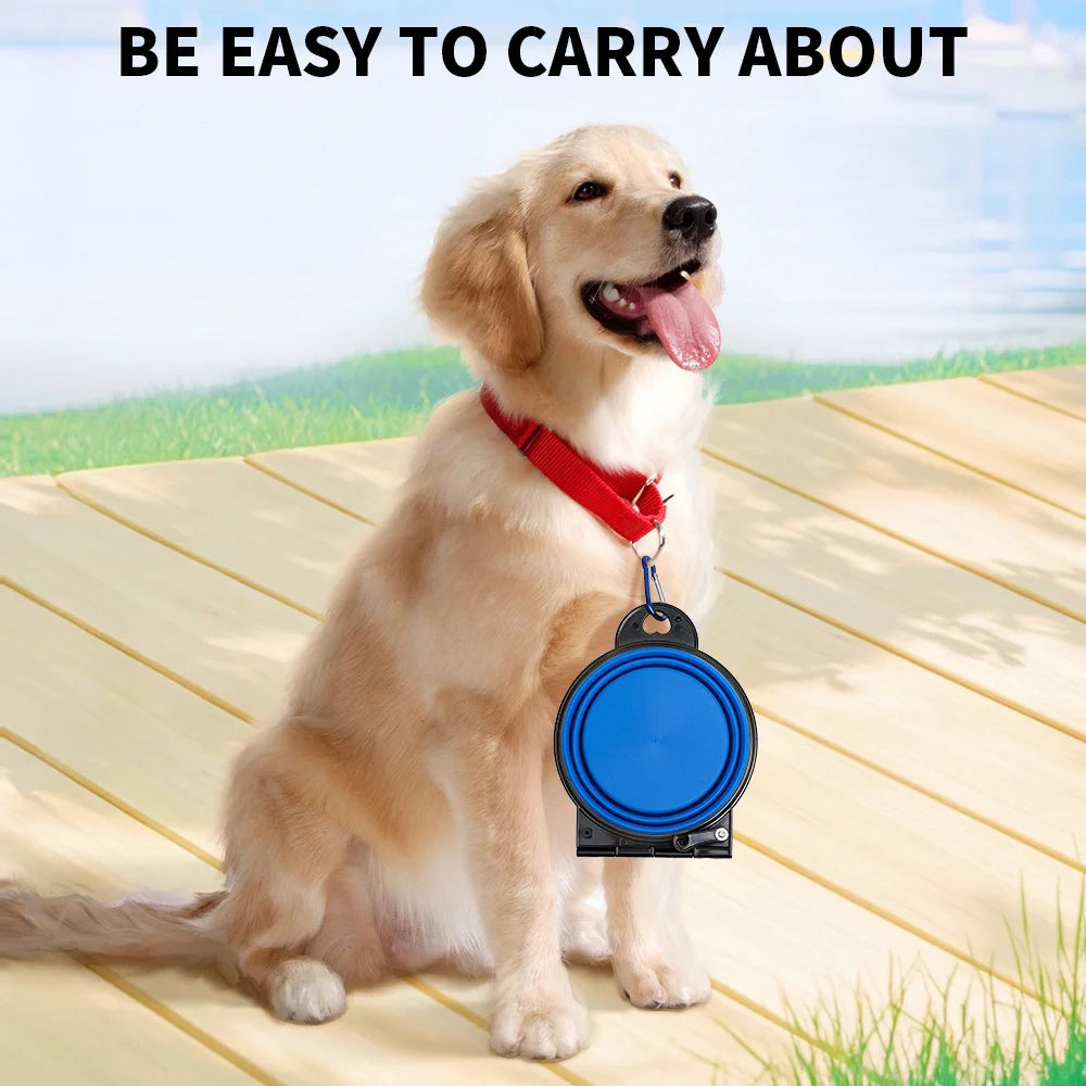 2-in-1 foldable dual feeding bowl