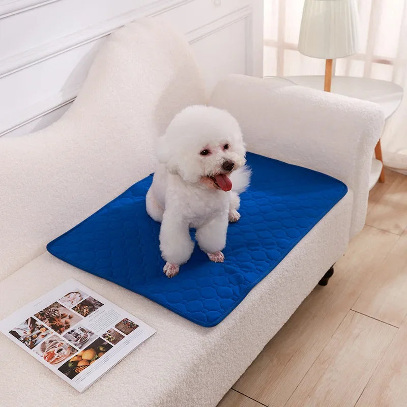 Reusable Dog Pee Pad