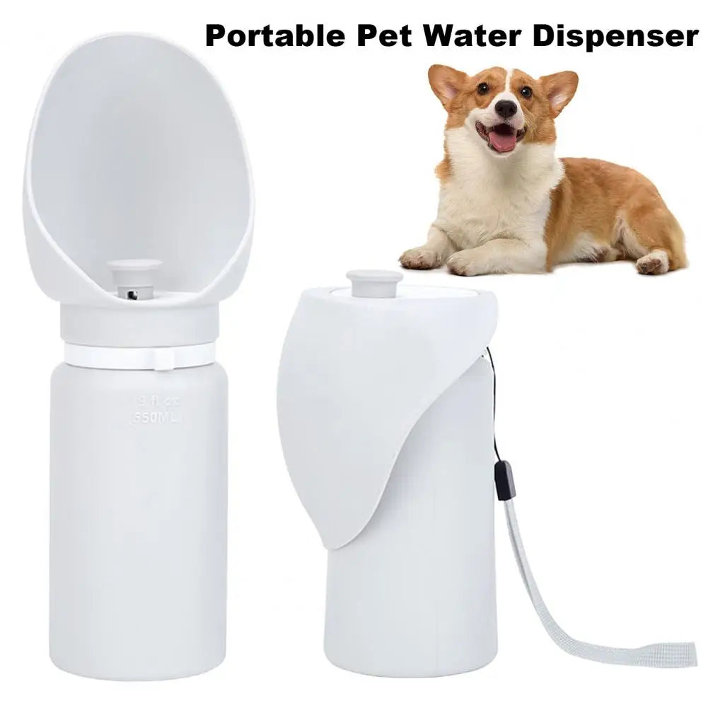 Safe Clean Pet Drinking Fountain