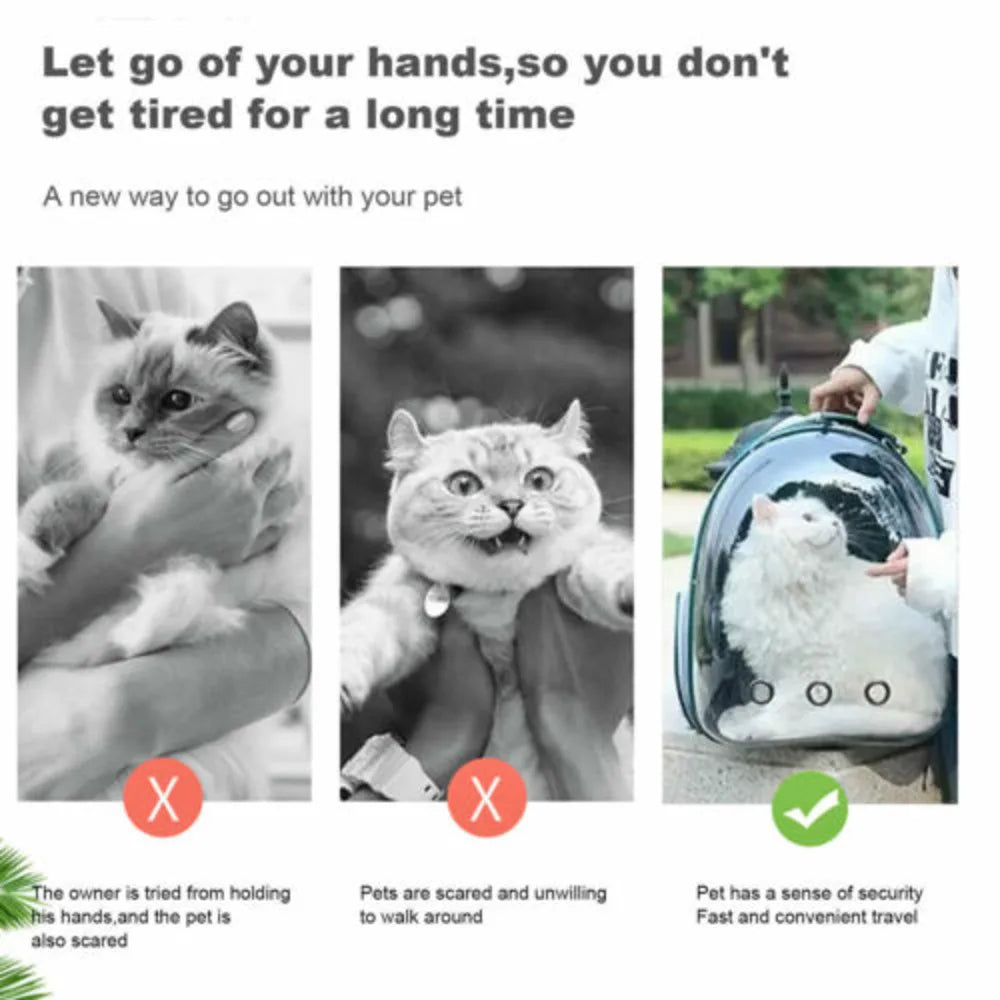 Astronaut Window Pet Carrier