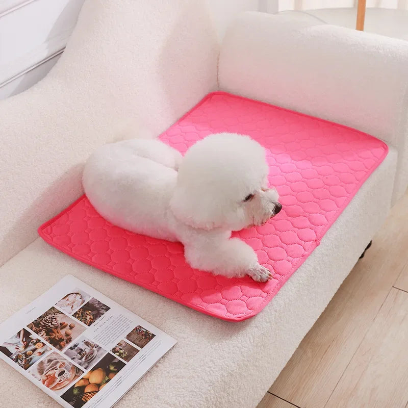 Reusable Dog Pee Pad