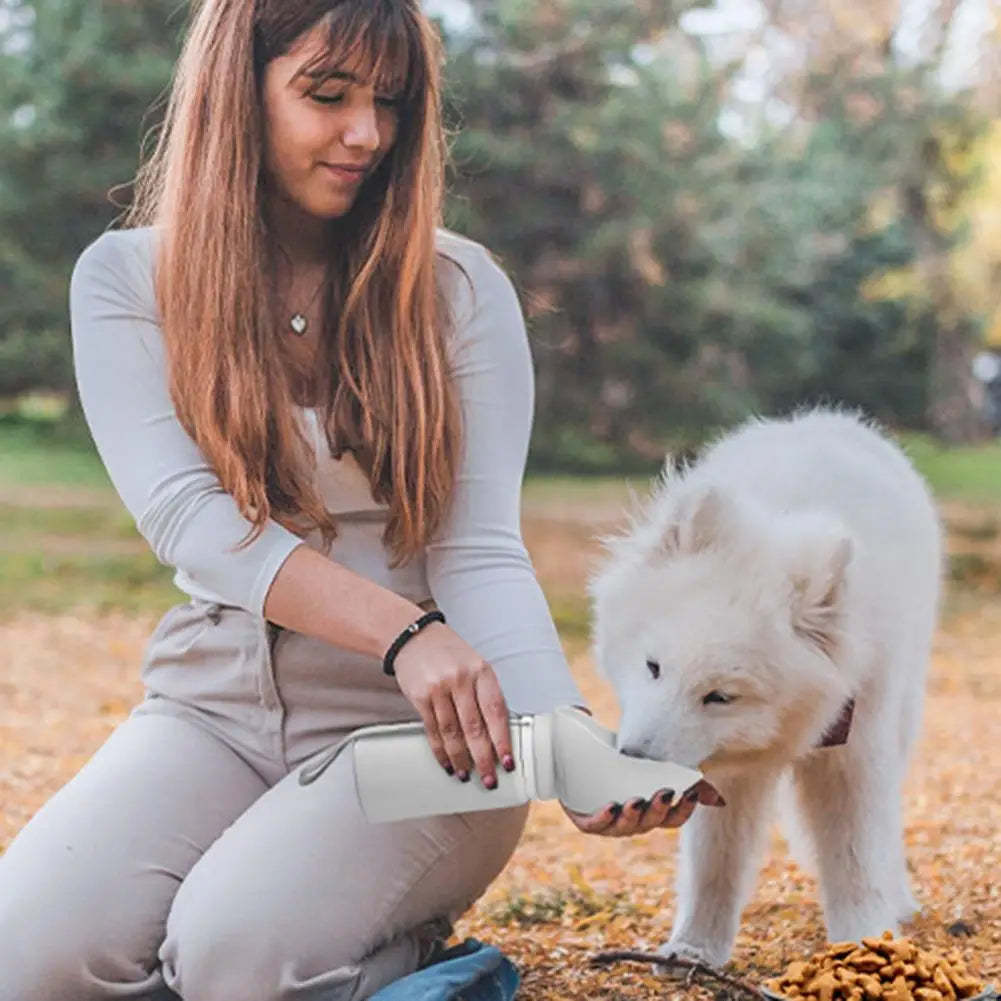 Safe Clean Pet Drinking Fountain