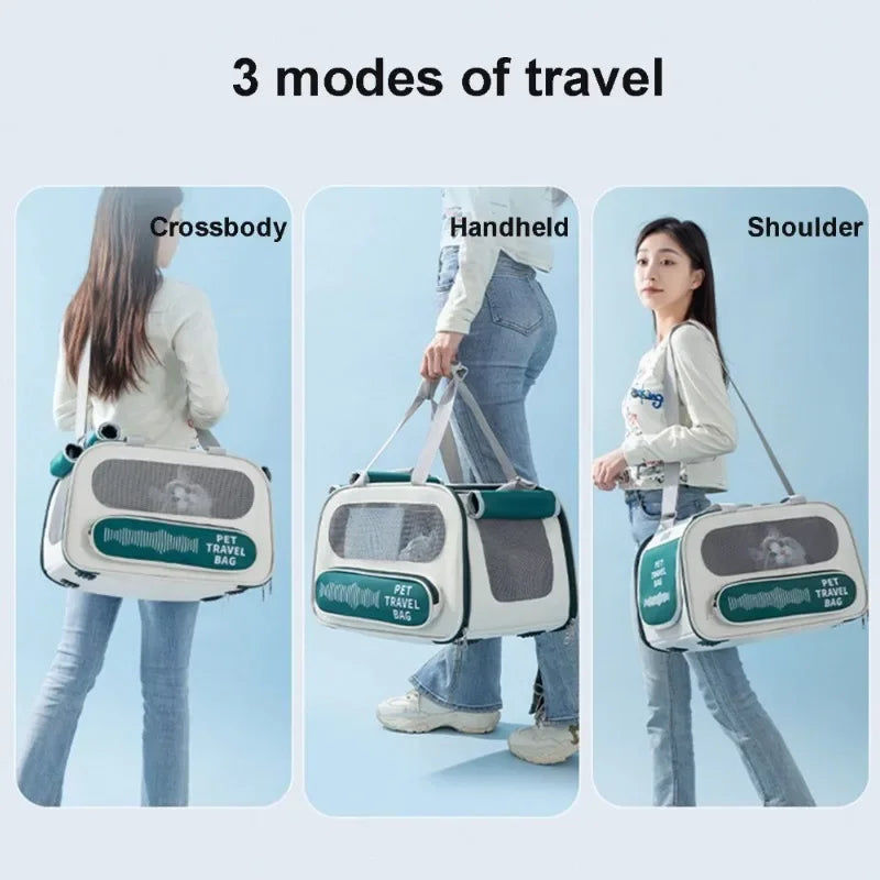 AeroVent Foldable Airline-Approved Pet Backpack Carrier