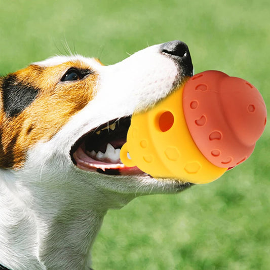 Dog Toy Ball