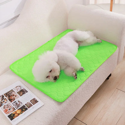 Reusable Dog Pee Pad