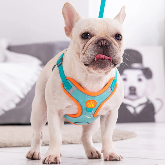 Pet Dog Chest Strap